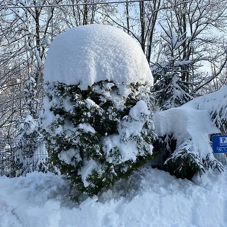 Wynajem Pokoi Beata בית אירוח בוקוווינה טטז'אנסקה