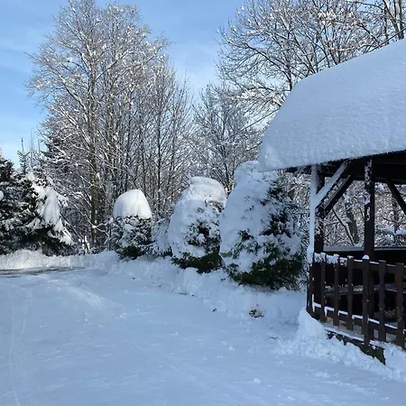 Wynajem Pokoi Beata 民宿 布库维纳塔然斯卡